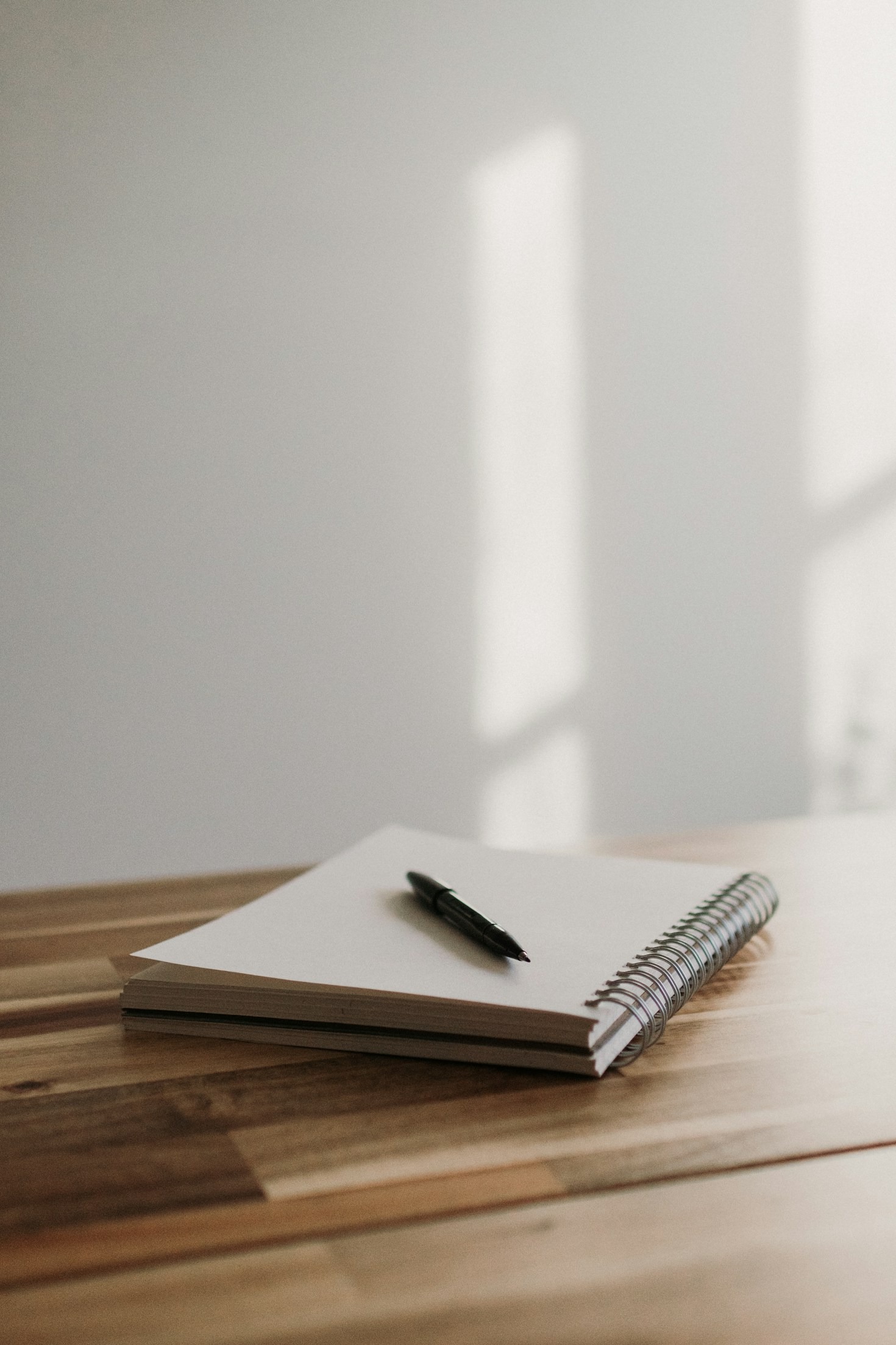 Behind the Scenes: The Life of a Passionate Writer